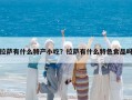 拉薩有什么特產小吃？拉薩有什么特色食品嗎