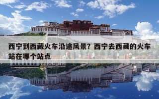 西寧到西藏火車沿途風景？西寧去西藏的火車站在哪個站點