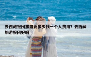 去西藏報(bào)團(tuán)旅游要多少錢一個(gè)人費(fèi)用？去西藏旅游報(bào)團(tuán)好嗎