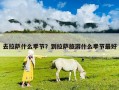 去拉薩什么季節(jié)？到拉薩旅游什么季節(jié)最好