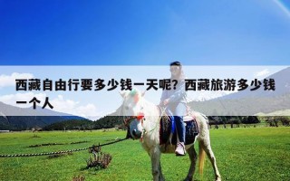 西藏自由行要多少錢一天呢？西藏旅游多少錢一個人