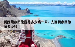 到西藏參團旅游是多少錢一天？去西藏參團旅游多少錢
