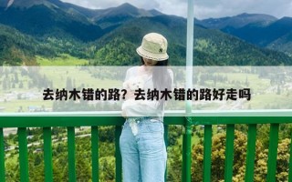 去納木錯(cuò)的路？去納木錯(cuò)的路好走嗎