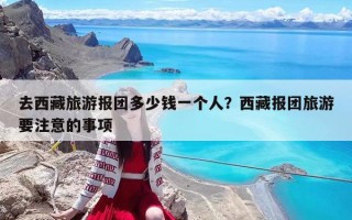 去西藏旅游報(bào)團(tuán)多少錢(qián)一個(gè)人？西藏報(bào)團(tuán)旅游要注意的事項(xiàng)