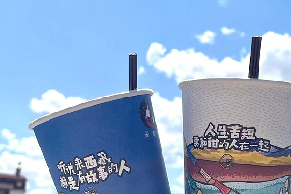 去西藏需要花多少錢