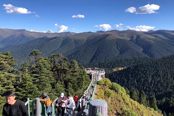 林芝旅游路線報價要好多錢